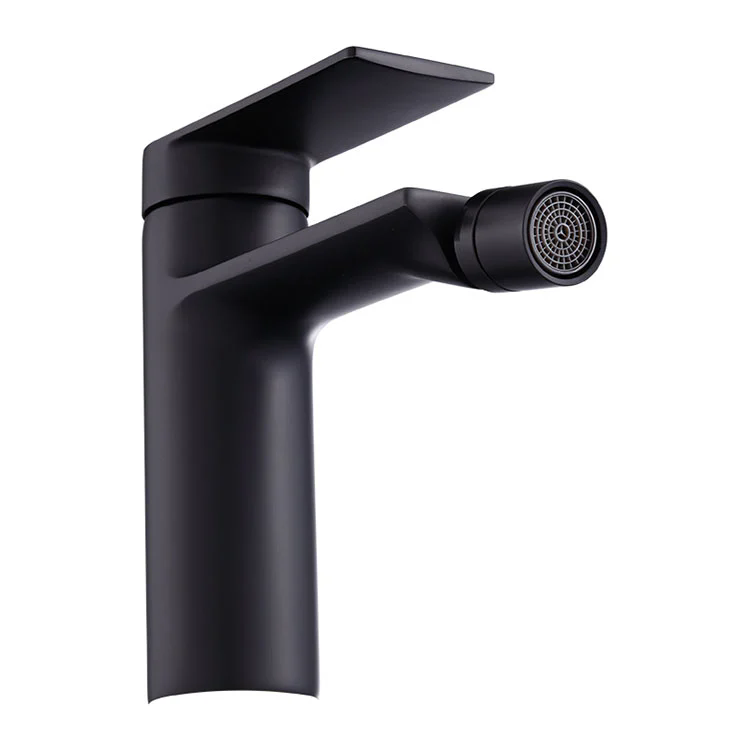 Hur förbättrar badrumsbidékranar hygien och komfort i moderna badrum?